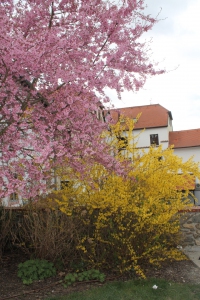 День третий 9 апреля.. Дальняя поездка в  Чешский Крумлов и Замок Глубока над Влтавой.